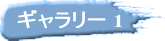 ギャラリー 1